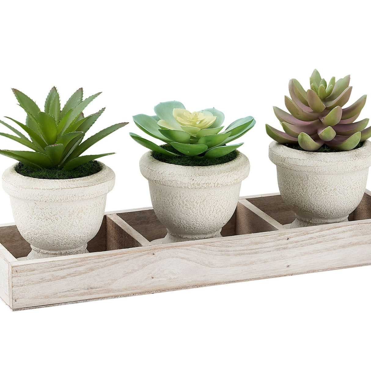 Artificial Succulent, Table Decor (Set of 3) - Green / Beige