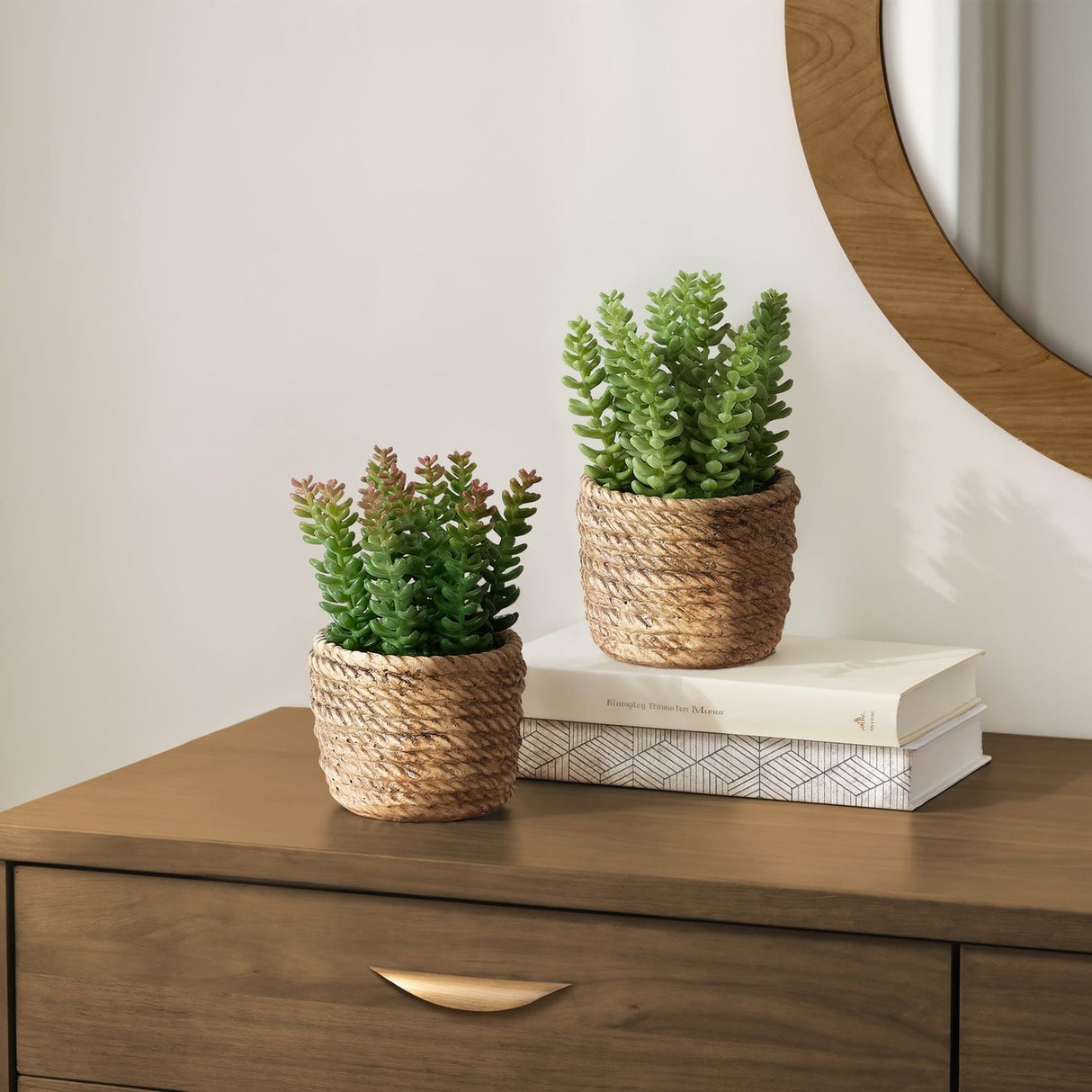 Artificial Succulent, Table Decor (Set of 2) - Green / Light Brown - Plastic