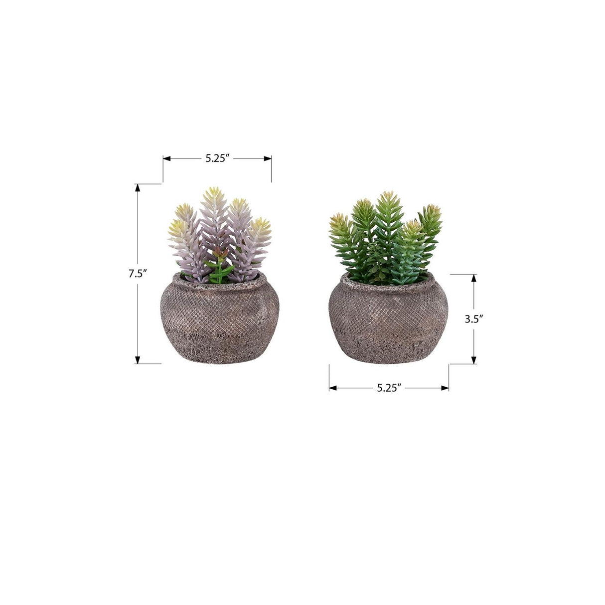 Artificial Succulent, Table Decor (Set of 2) - Green / Brown