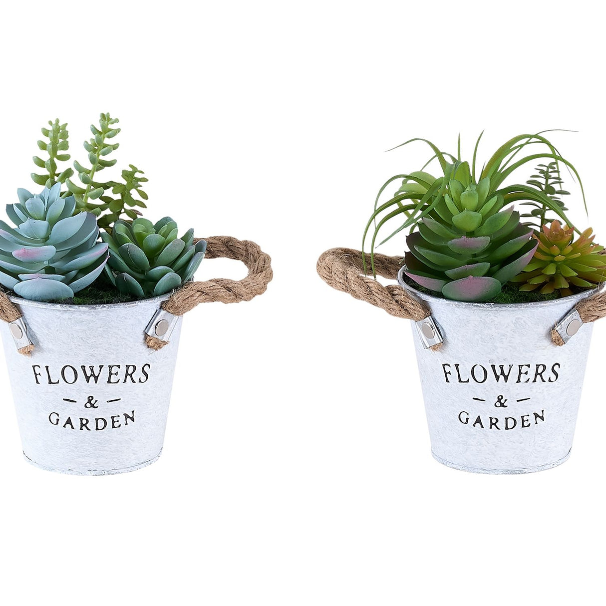 Artificial Succulent, Table Decor (Set of 2) - Green / White