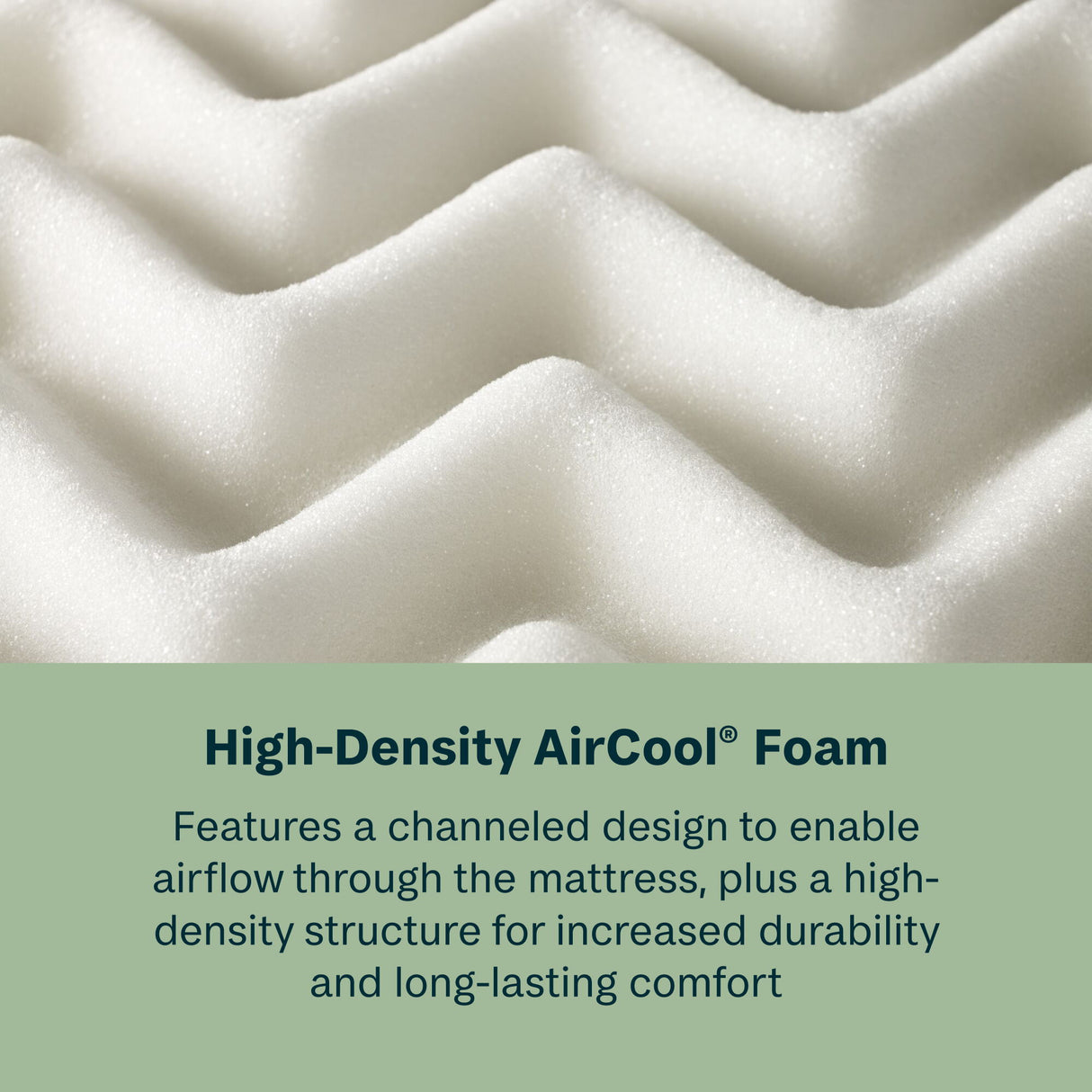 Radiant Dream - 10" Hybrid Medium Firm Mattress in a Box