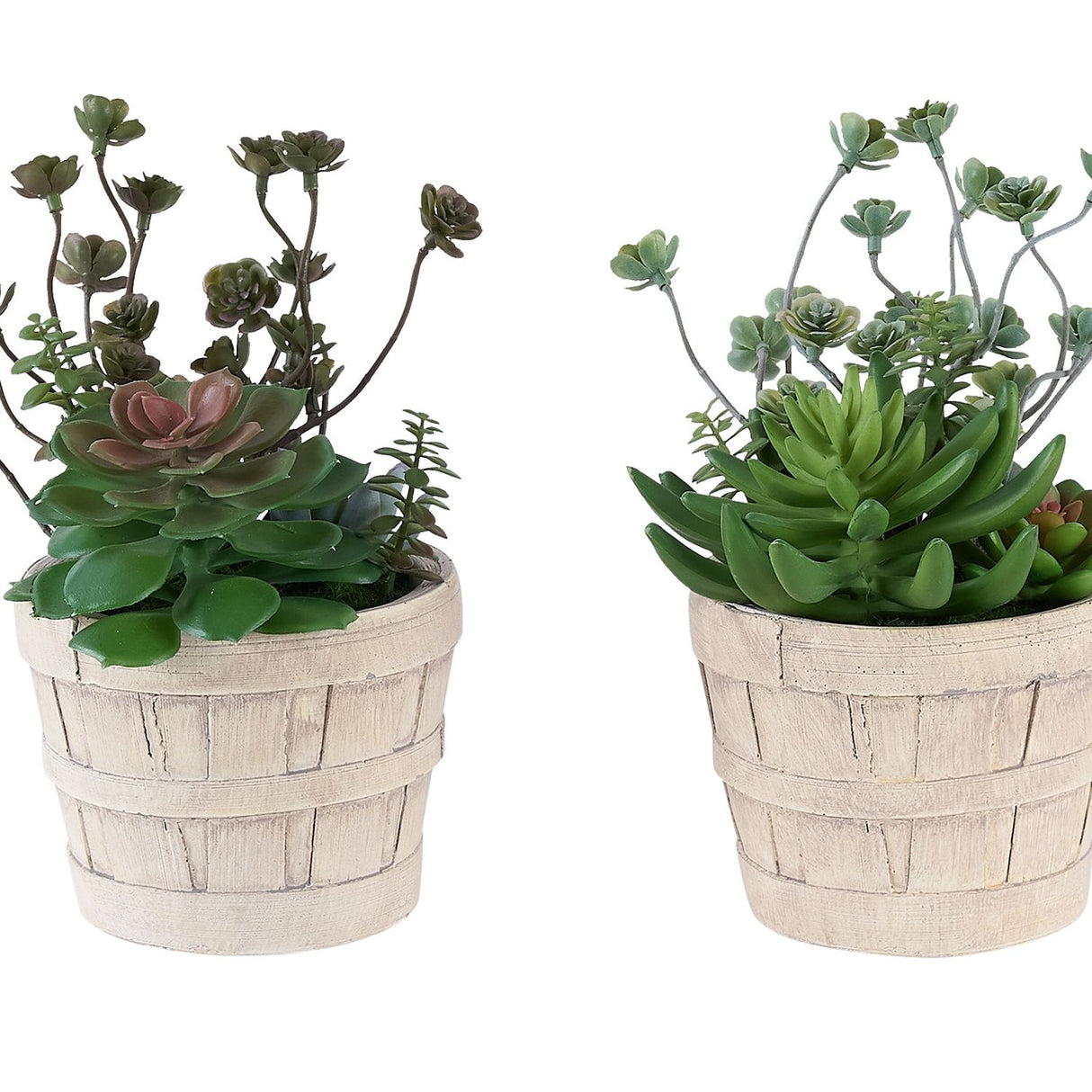 Artificial Succulent, Table Decor (Set of 2) - Green / Beige