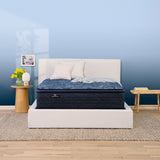 Perfect Sleeper - 14.5" Cobalt Calm Medium Pillow Top Mattress