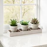 Artificial Succulent, Table Decor (Set of 3) - Green / Beige