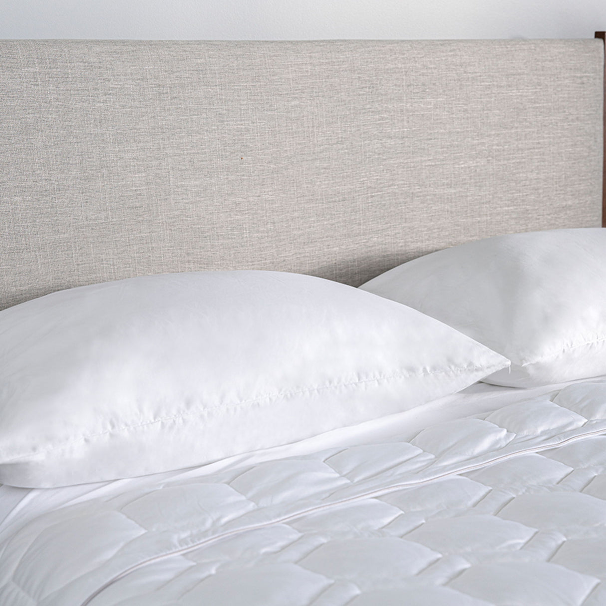 iProtect - Pillow Protector