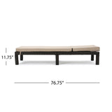 Puerta - Chaise Lounge Frame Cushion Outdoor Wicker Iron - Beige / Dark Brown