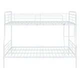Contemporary Bunk Bed