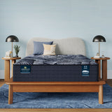Perfect Sleeper X - 14.25" Excelled Hybrid Plush Mattress