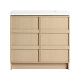 Freestanding Bathroom Vanity With Sink & 2 Soft Close Cabinet Doors
