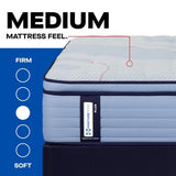 Posturepedic Plus - Paterson II Euro Pillow Top Medium Mattress