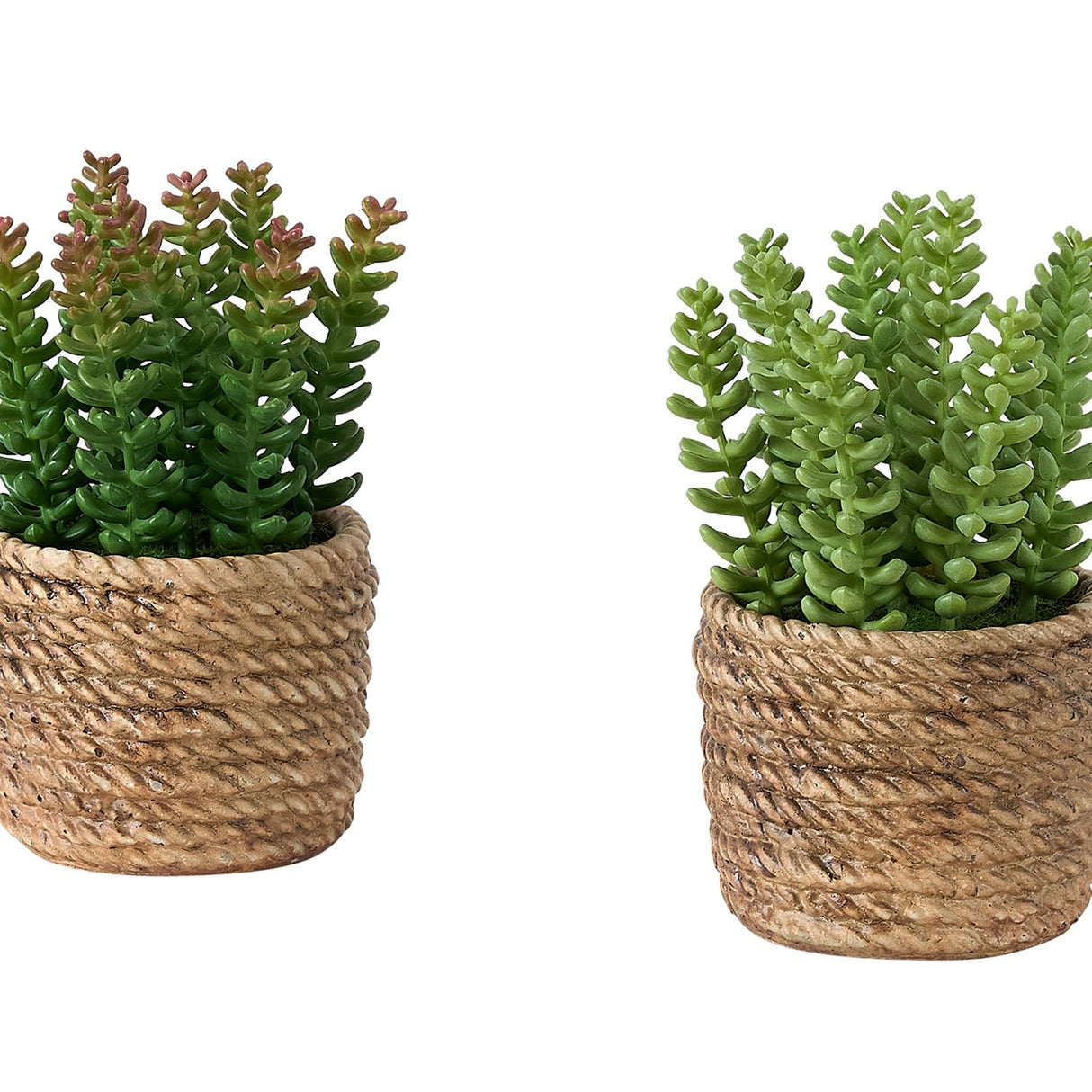 Artificial Succulent, Table Decor (Set of 2) - Green / Light Brown - Plastic