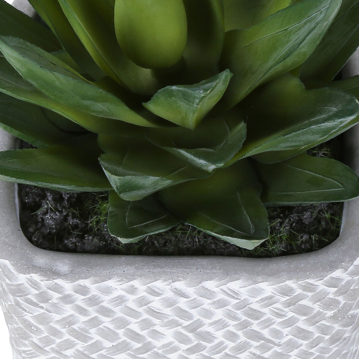 Artificial Succulent, Table Decor (Set of 2) - Green / Gray