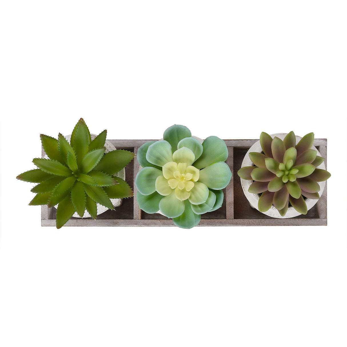 Artificial Succulent, Table Decor (Set of 3) - Green / Beige