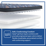 Special Edition - Warner Euro Pillow Top Soft