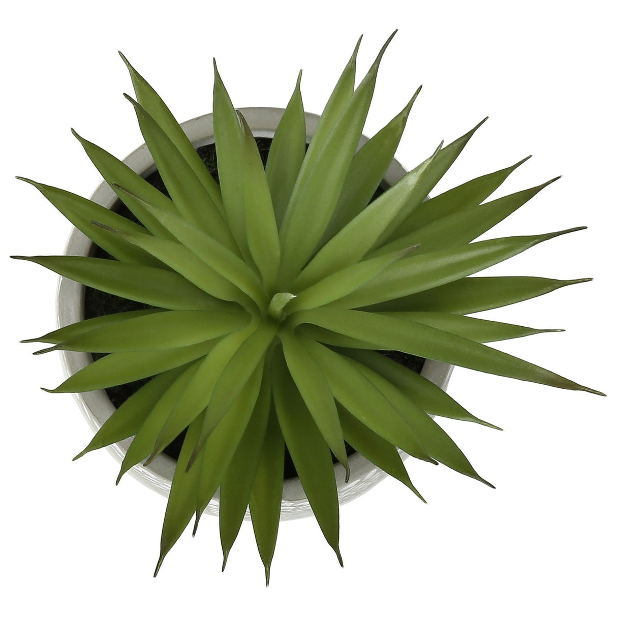 Artificial Succulent, Table Decor (Set of 2) - Green - Plastic