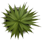 Artificial Succulent, Table Decor (Set of 2) - Green - Plastic