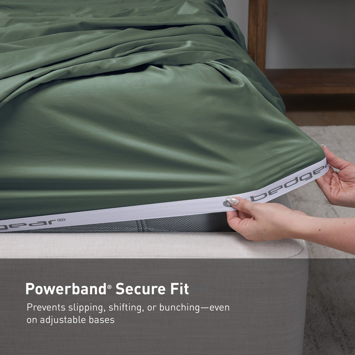 Cotton Sheet Set