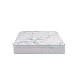 Dream Weaver - 12.25" Medium Euro Top Mattress