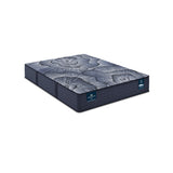Perfect Sleeper - 12.5" X Aspen Hybrid Firm Mattress