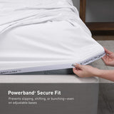 Cotton Sheet Set