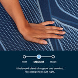 iSeries NXG - 13.5" Memory Foam Medium Mattress 3500