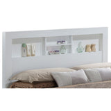 Bed With Transitional Design Stylish