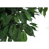 58" Tall, Artificial Plant, Ficus Tree, Indoor, Faux, Fake, Floor, Greenery, Potted, Decorative - Green / Black