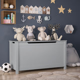 Toy Box Storage With Safety Hinged Lid