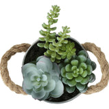 Artificial Succulent, Table Decor (Set of 2) - Green / White