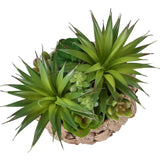 Artificial Succulent, Table Decor (Set of 2) - Green