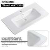 Freestanding Bathroom Vanity With Sink & 2 Soft Close Doors