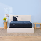 Perfect Sleeper - 12" Dazzling Night Hybrid Firm Mattress