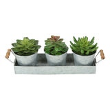 Artificial Succulent, Table Decor (Set of 3) - Green