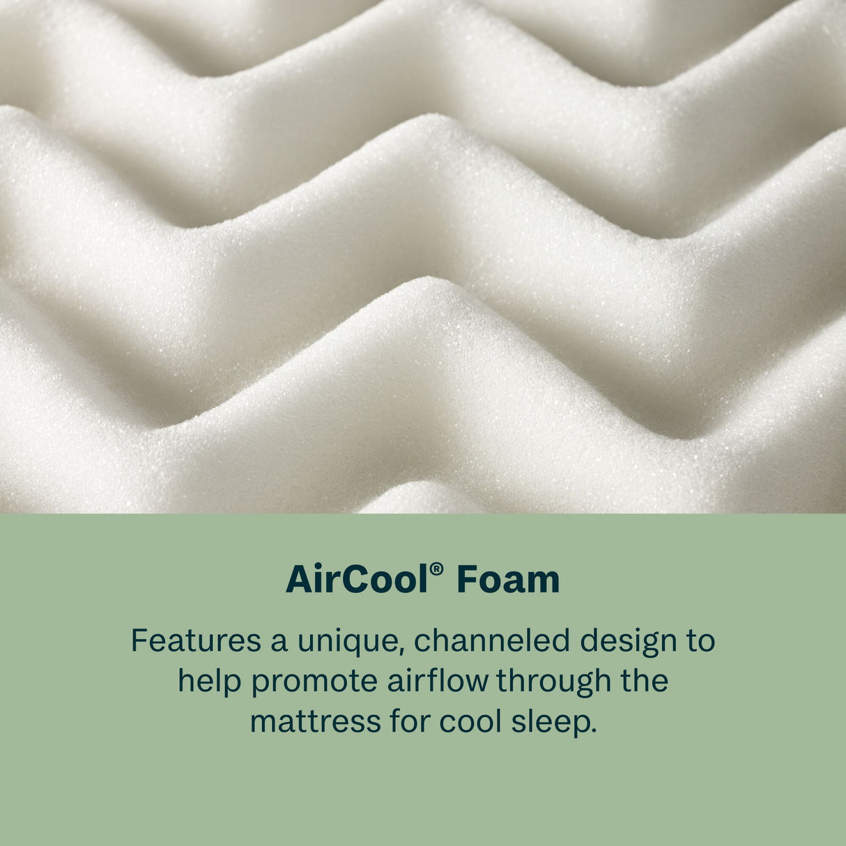 Peaceful Morning - 14.25" Medium Pillow Top Mattress