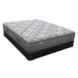 Hotel - Sealy Hotel SP1 Firm/Ultra Firm Mattress