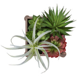 Artificial Succulent, Table Decor (Set of 2) - Green / Dark Brown