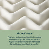 Soothing Nights - 16" Plush Pillow Top Mattress In A Box