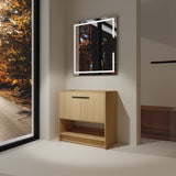 Modern Freestanding Bathroom Vanity With 2 Doors